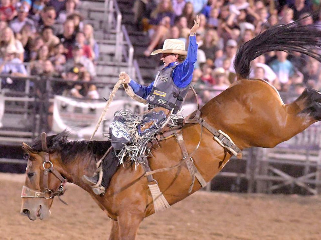 🎟️ Get Your Rodeo Tickets Before They Sell Out! 🎟️

Don’t miss your chance to experience the excitement of the Cache County Rodeo! All seats are reserved, so secure your seats today. To ensure you’re getting authentic tickets at the right price, only purchase through our official channels.

For further assistance, you can also buy tickets at IFA and the Cache County Event Center during regular business hours. 

🚨 Important Warning 🚨
Be aware of scammers and secondary companies selling tickets at inflated rates.